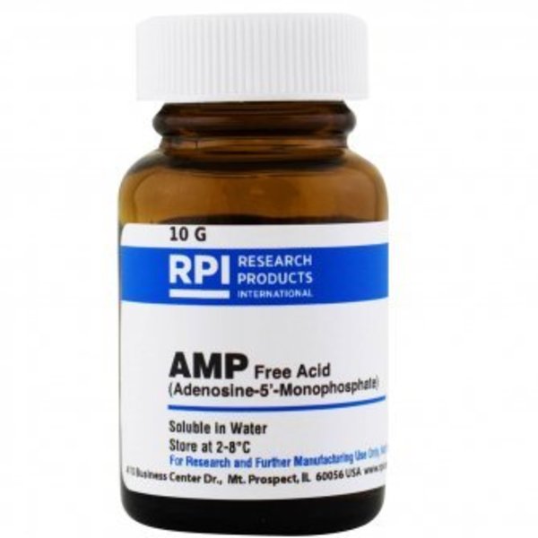 AMP, 10 G
